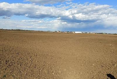 Teren de 16750 mp, în Tunari