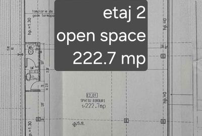 Spațiu comercial, de 392 mp, în Traian - 1