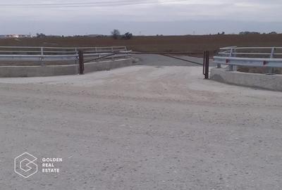 Teren Construcții intravilan de 56300 mp, în Exterior Est - 4