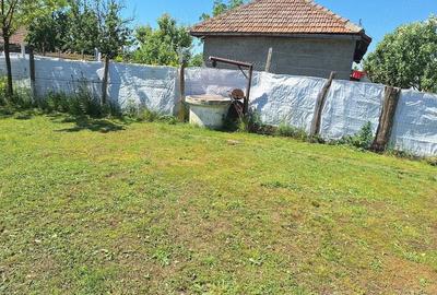 Casă cu Teren 1200 Mp în Ciorani - 3