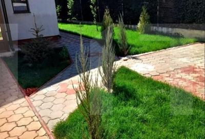 Casa eleganta intr-un duplex mobilat, curte 208 m? - Berceni - 1