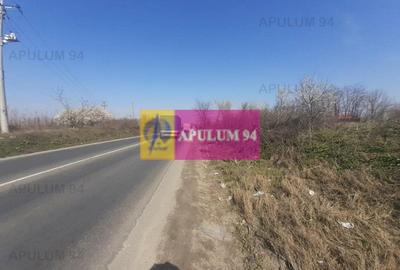 Teren Construcții intravilan de 4800 mp, în Glina - 30