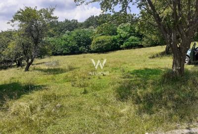 Teren agricol extravilan de 3000 mp, în Cârța - 1