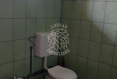 Casă cu 2 camere în Bociu - 15