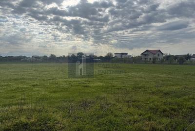 Teren agricol intravilan de 953 mp, în Dimieni - 6
