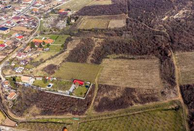 Teren intravilan in ?iria pe deal Teren intravilan in ?iria pe deal - 5