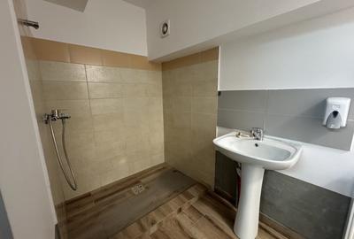 Spatiu comercial/depozit, 229 mp utili, rampa acces auto, zona Iulius Mall - 17