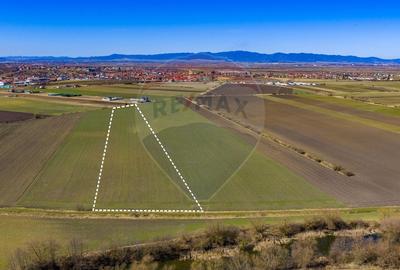 Teren agricol extravilan de 21893 mp, în Bod - 4