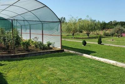 Casă cu 4 camere cu Teren 1200 Mp în Obreja - 4