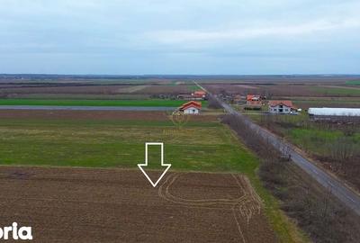 Teren de 4300 mp, în Odoreu - 4