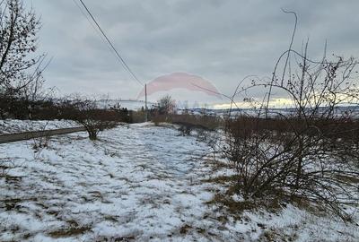 Teren 10,000mp Rada?eni / ?oseaua DN2-E85, jude?ul S... - 12