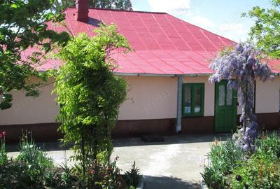 Vanzare Casa Fartanesti Galati - 2
