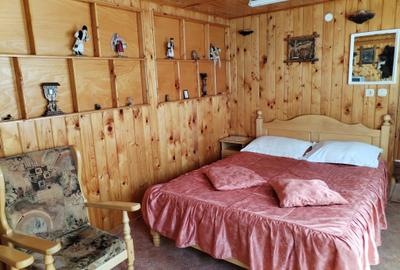 Vila de vanzare in Sinaia – investitie ideala in inima statiunii - 13
