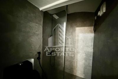 Apartament renovat cu o camera si curte, 2 bai, 50 mp, Piata Romanilor - 12