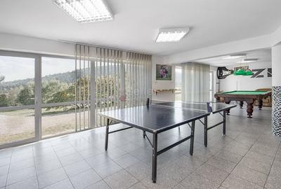 Pensiune Turistica Montana - 12