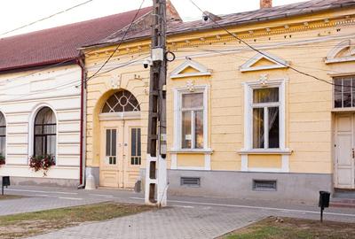 Pecica, jud. Arad, casa de vanzare - 4