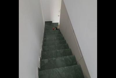 Duplex 3 camere bucuresti noi  damaroaia - 2