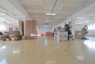 Oportunitate de investitie | Hala Parc Industrial 1 - 28