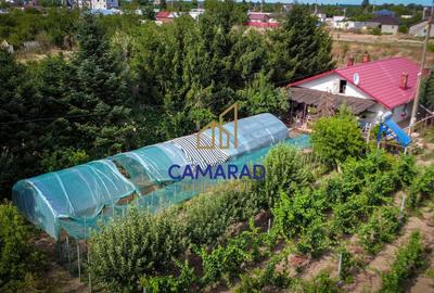 Casa si teren de 9000 mp - ideal investitie - Fundeni/Calarasi - 8