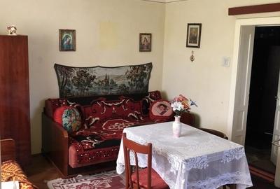 Casă individuală cu 2 camere cu Teren 1350 Mp în Râciu - 10