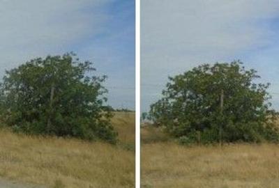 Teren extravilan arabil cota parte 3/32 Smardan, ID: R276... - 16