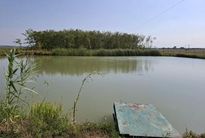 Duplex cu 4 camere cu Canalizare în Acâș - 2