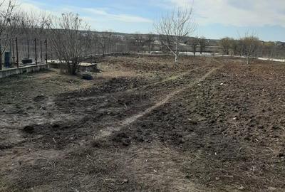 Teren de vanzare la Lac, Corbeanca - 7