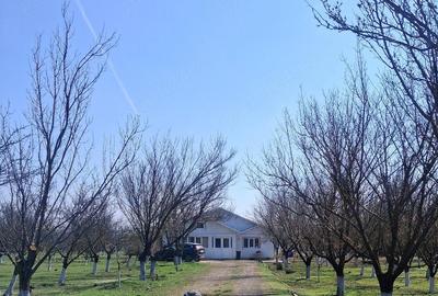 Casă cu Teren 18500 Mp în Armășești - 4