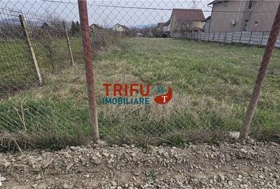 Teren de 1050 mp, în Cetate - 3