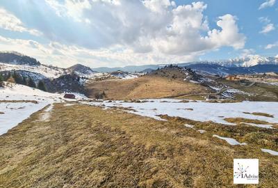 Teren De Vanzare In Sirnea - 4