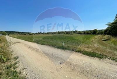 TEREN  INTRAVILAN 5,000mp ORAS CISNADIE  STR.  SELIMBARULUI - 9