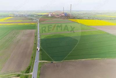 Teren de 30000 mp, în Grădiște - 4