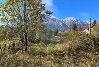 Teren intravilan 1.117 mp cu vedere spectaculoasa spre Crucea Caraiman - 3