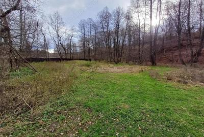 Resita, Teren Drept Intravilan, Langa Prau si Drum, 1308 Mp., 15 Euro Mp., Renk - 13