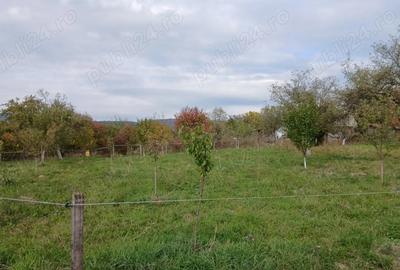 Loc de casa cu livada ?i corp de cladire - 2