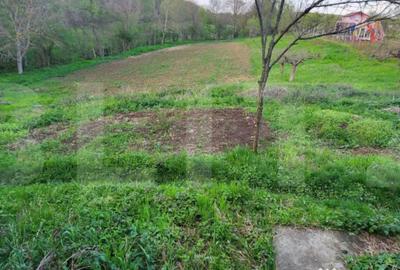 Teren de 6659 mp, în Nisipoasa - 2