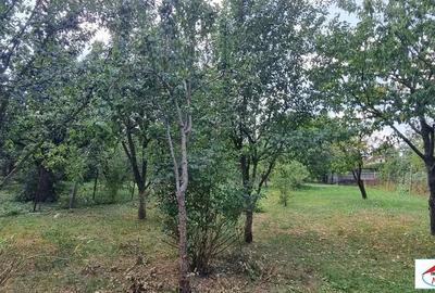 Casă cu Teren 1374 Mp în Central - 1