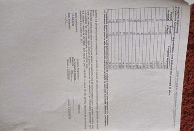 Casă cu 2 camere în Nuci - 4