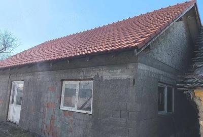 Casă cu Teren 1917 Mp în Nerău - 8