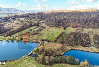 Spațiu comercial, în Sadu - 6