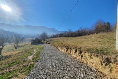 Teren rezidential zona Bran Tohanita zona de case - 4