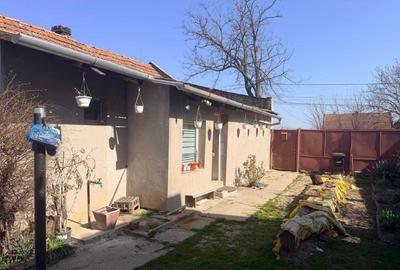 Casă individuală cu 3 camere cu Teren 1000 Mp în Cărpiniș - 3