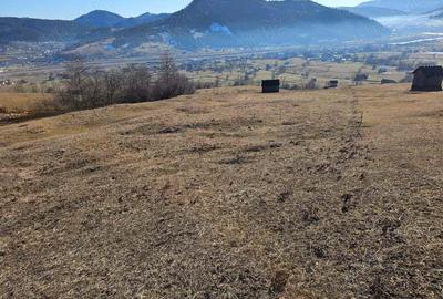 Teren extravilan de vanzare in Bucovina zona Frasin - 5