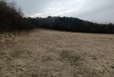 Spațiu comercial, în Popești - 2