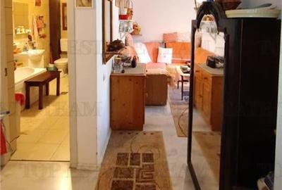 Apartament 2 camere zona Titan, curte proprie 37mp in vila - 3