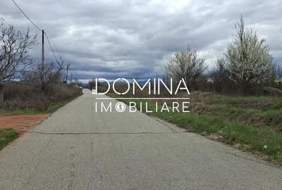 Teren de 20386 mp, în Câlnic - 5