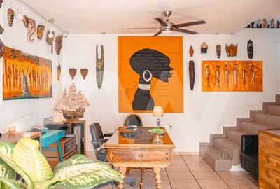 PENSIUNE ELEGANTĂ DE VANZARE IN TURNIȘOR! - 1