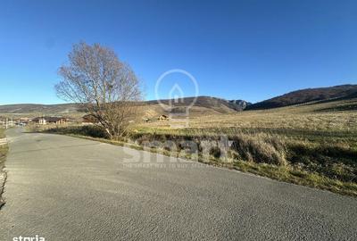 Spațiu comercial, în Petrești - 10