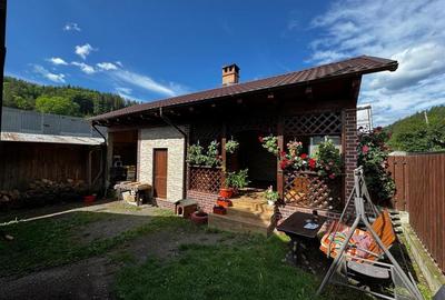 CASA DE VANZARE ZONA MONTANA - 13