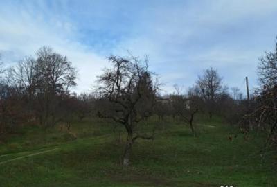 Teren de 5950 mp, în Scorțeni - 12